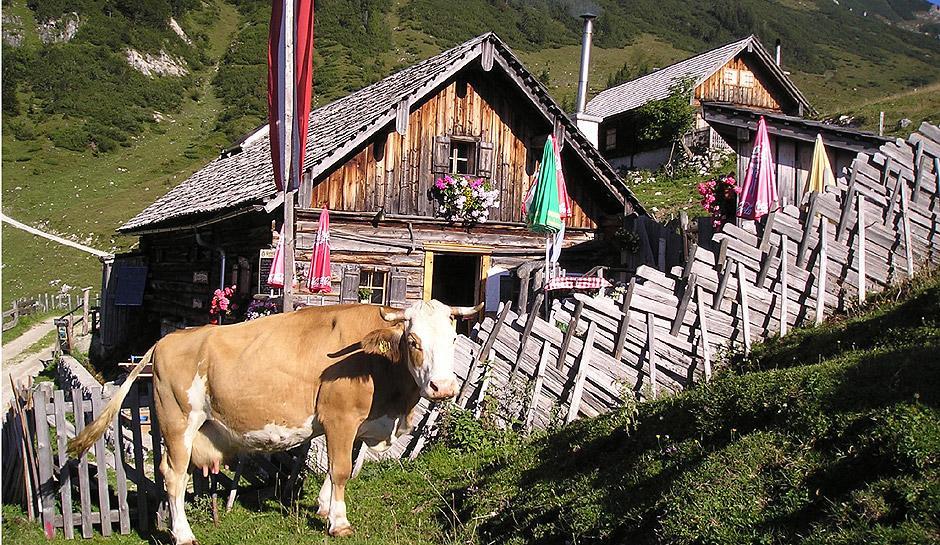 Apartment Haus Van Der Leij Russbach am Pass Gschütt Dış mekan fotoğraf